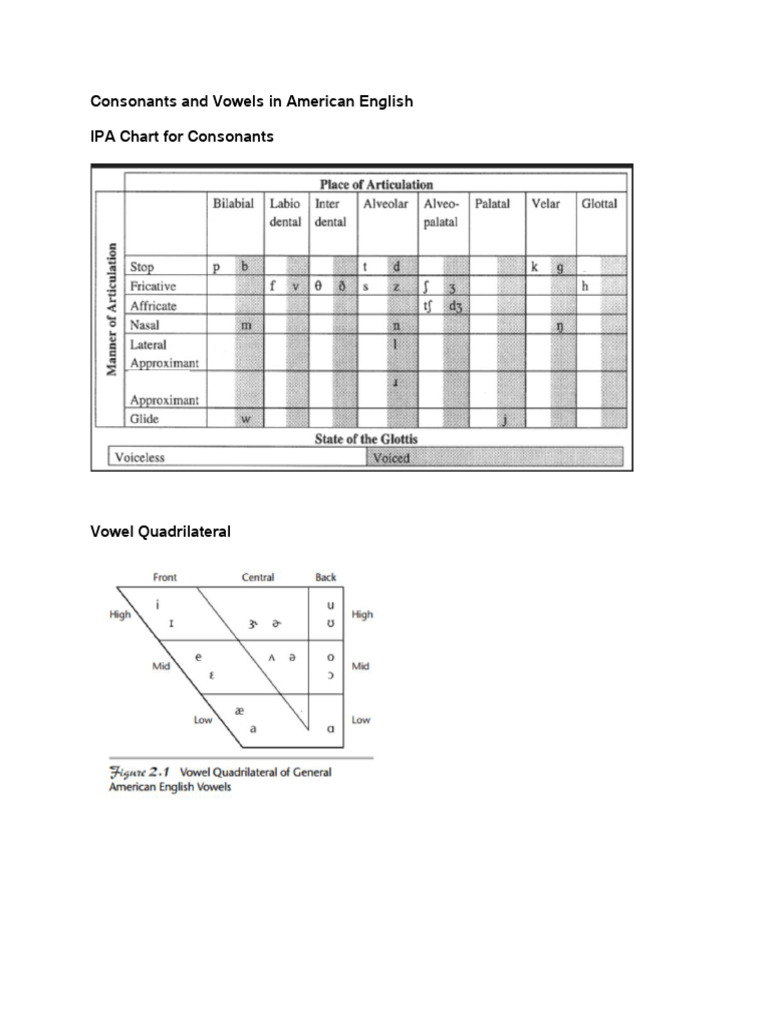 Consonants and Vowels in American English | PDF