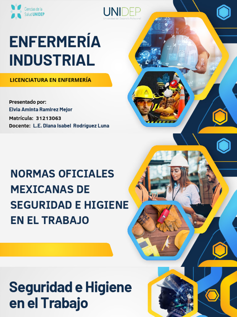 Normas de Seguridad e Higiene Laboral | PDF | Valores | Riesgo