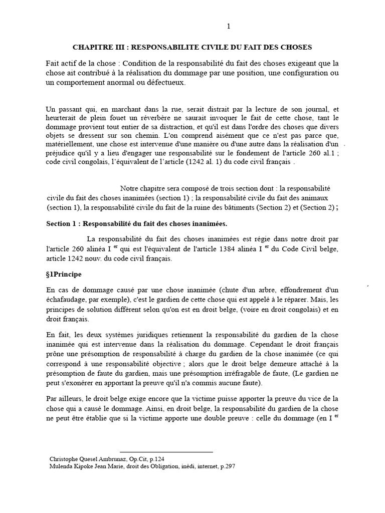 Responsabilité civile en droit congolais | PDF | Démocratie ...
