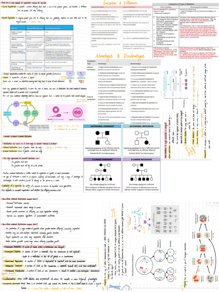 Year 12 Biology Cheat Sheet Module 5/6 | PDF