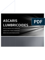 Exposicion Ascaris Lumbricoide