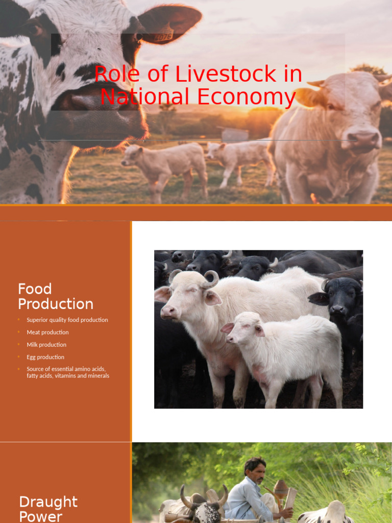 Impact of Livestock on National Economy | PDF