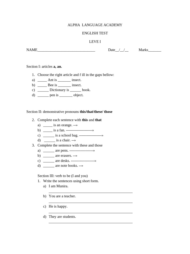 English Test Level I: Articles & Pronouns | PDF