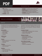 Basic Netball Rules and Positions | PDF | Ball Games | Team Sports