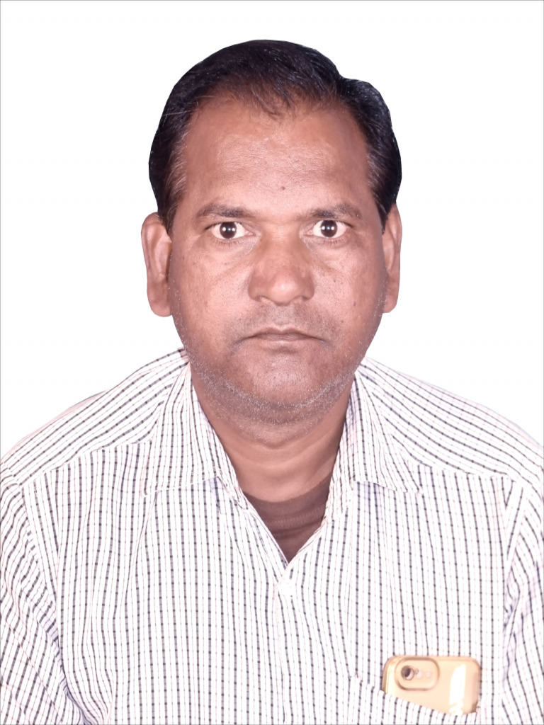 Bijay Kumar | PDF