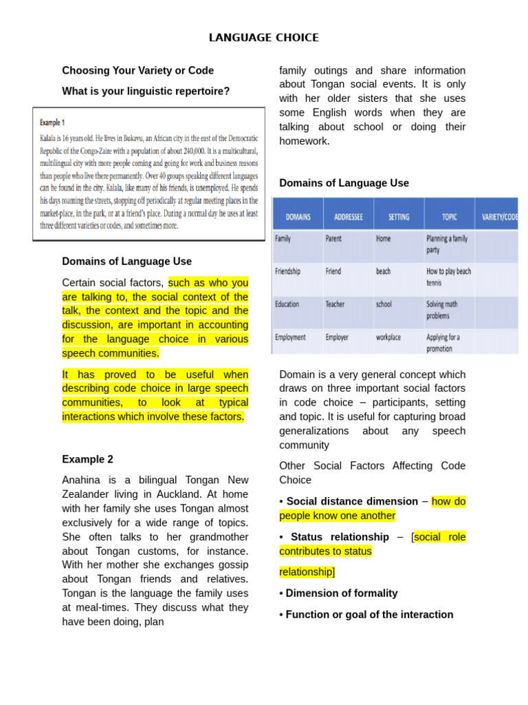 Understanding Language Choice Dynamics | PDF | Multilingualism ...
