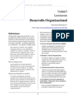 Desarrollo Organizacional