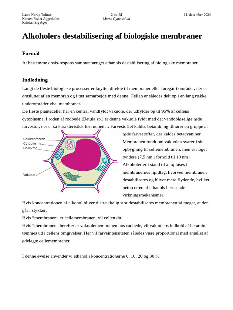 Aflevering - Alkohols Destibalisering Af Cellemembran | PDF, image size:768x1024