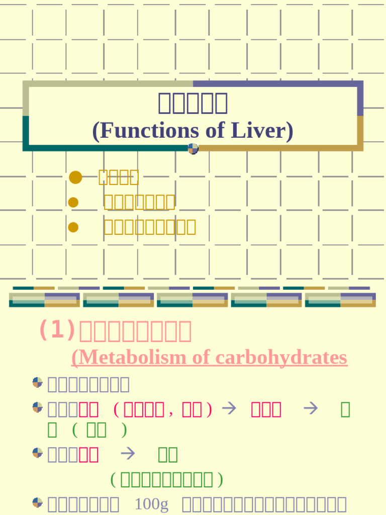 Functions of Liver | PDF