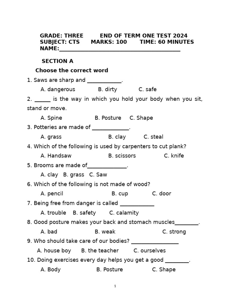 Grade 3 CTS Term 1 Test Questions | PDF