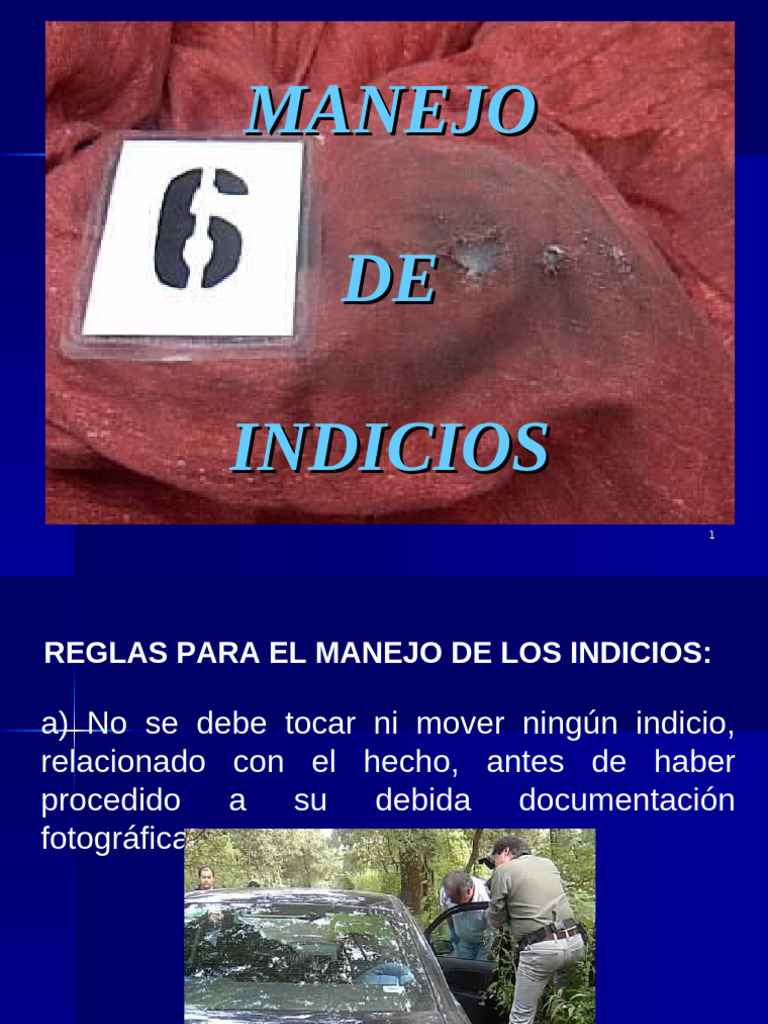 Manejo de Indicios | PDF | Clavo (anatomía) | Papel