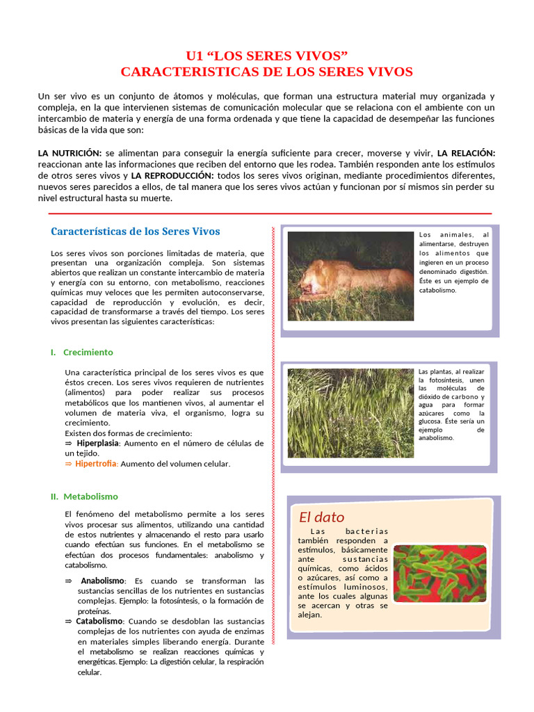 U1- T1- CARACTERISTICAS DE LOS SERES VIVOS | PDF | Metabolismo | Organismos