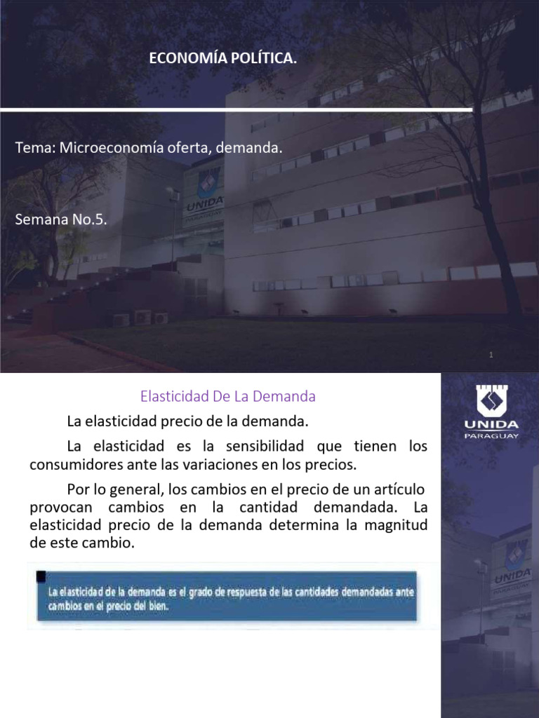 Elasticidad de la Demanda y Oferta | PDF | Elasticidad (economía ...