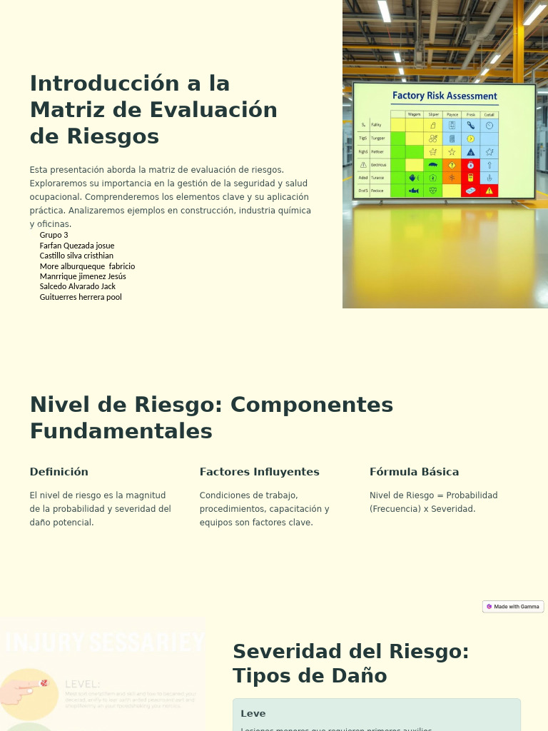Introduccion A La Matriz de Evaluacion de Riesgos | PDF | Riesgo ...
