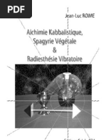 Spagyrie Vegetale Radiesthesie Vibrato Ire Tome 1 Kabbale Magie Paranormal