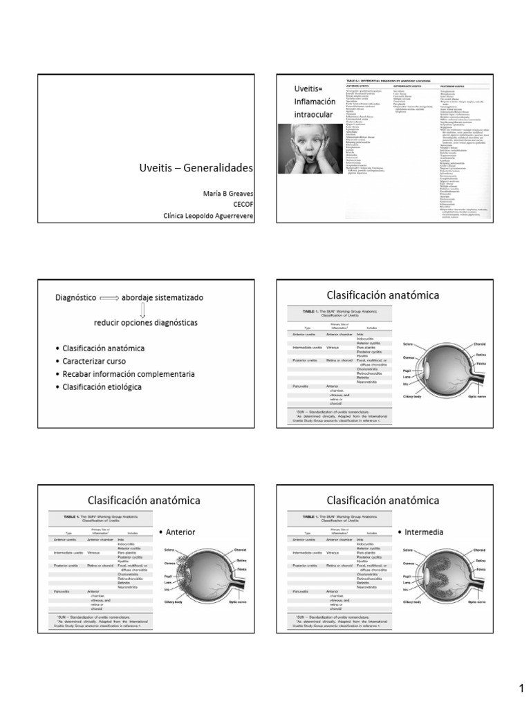 UVEITIS Anterior Dra Greaves | PDF | Oftalmología | Especialidades Medicas