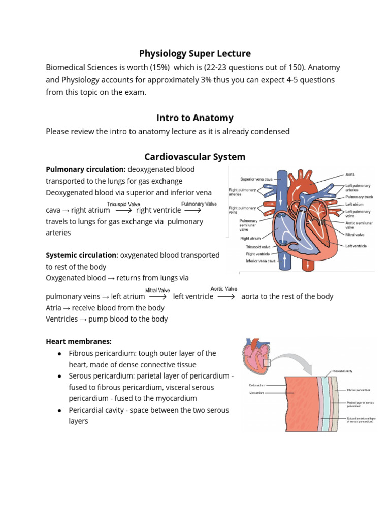ANATOMY AND PHYSIOLOGY SUMMARY NOTES visual data 4