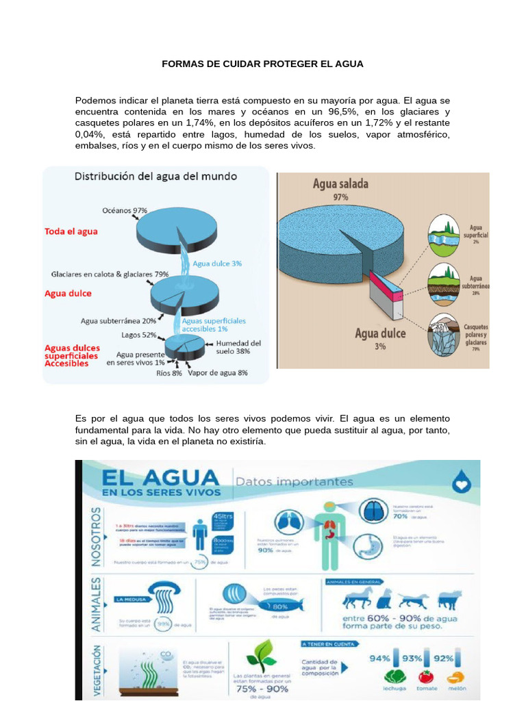 Cómo Cuidar y Proteger el Agua | PDF | Agua | Contaminación