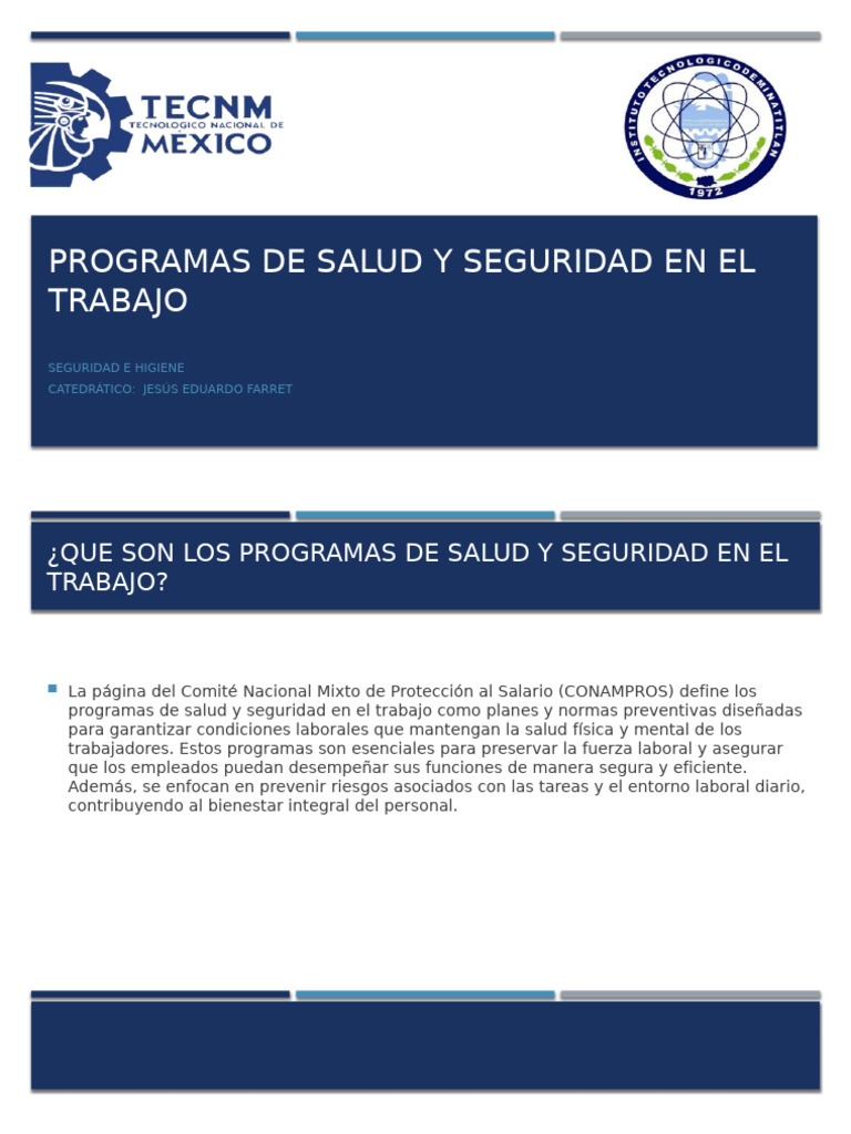 Programas de Salud y Seguridad Laboral | PDF | Seguridad y salud ...