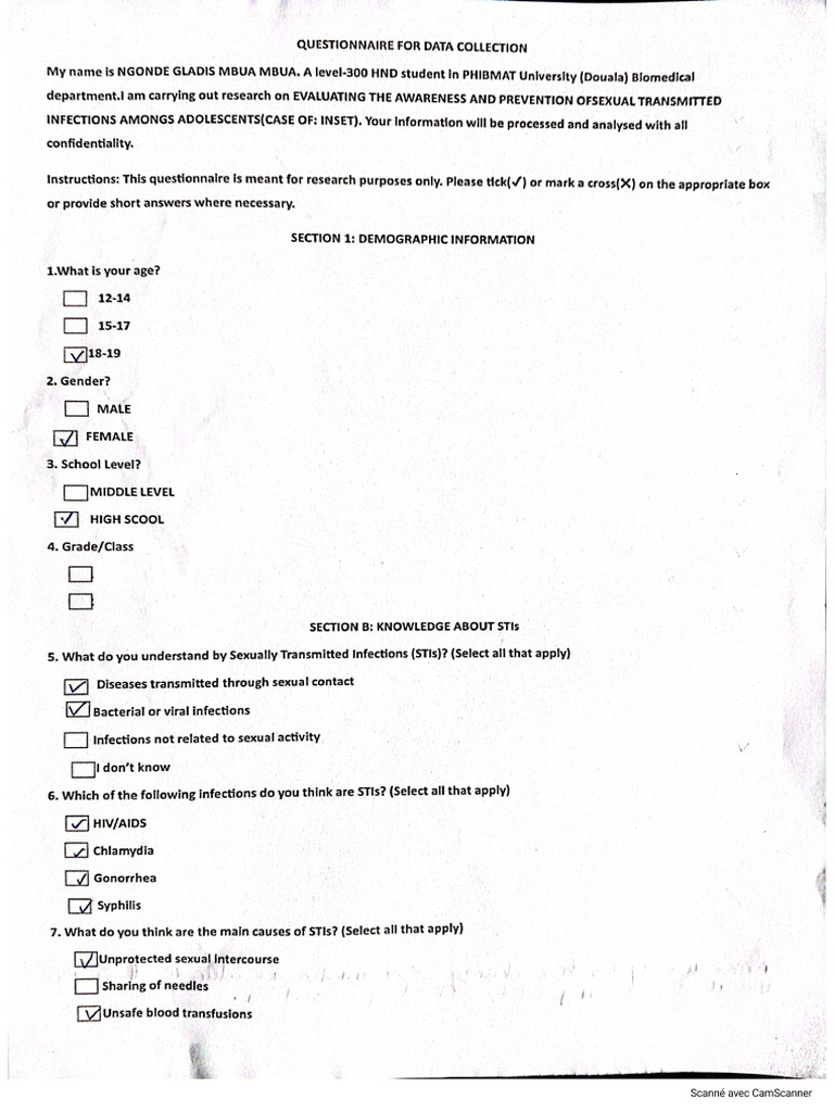 Questionnaire | PDF