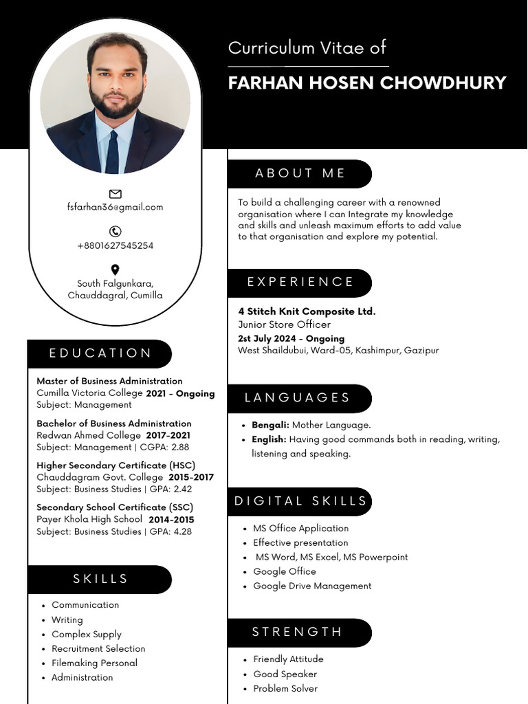 Professional CV Sample | PDF