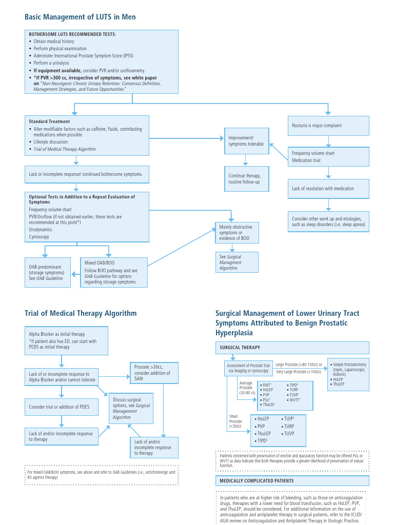 Management of LUTS and OAB Guidelines | PDF | Diseases And Disorders ...