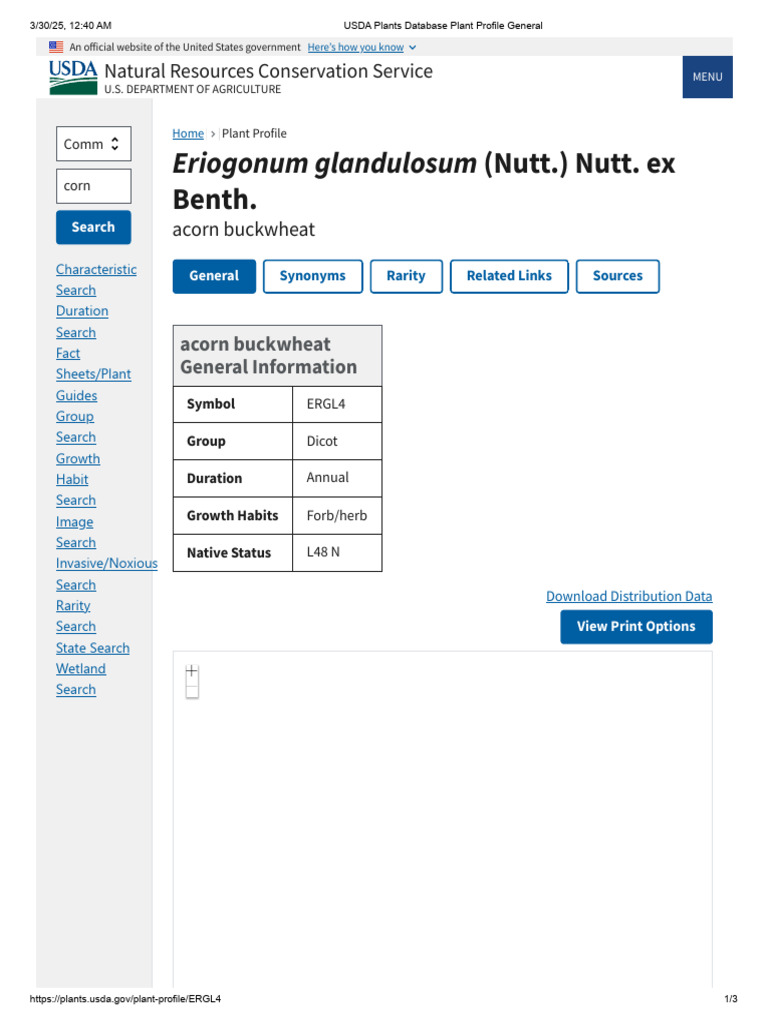 USDA Plants Database Plant Profile-Acorn Buckwheat | PDF | Botany | Plants