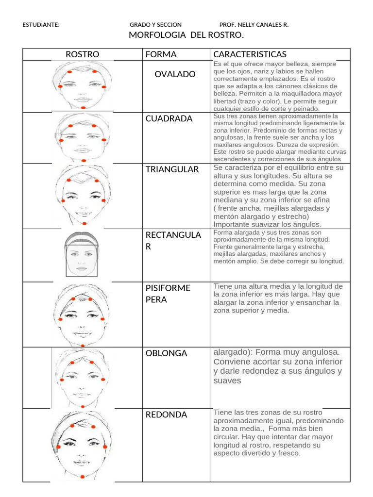 Morfología del Rostro y Visagismo | PDF | Longitud