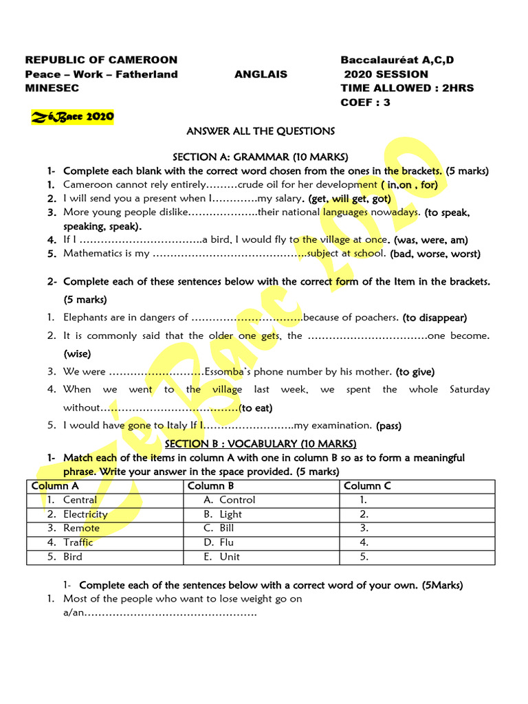 English Exam for Baccalauréat A4 2020 | PDF | Linguistics