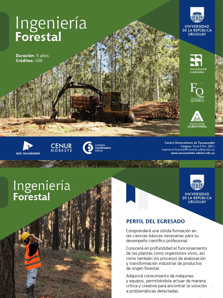 Libros de Silvicultura y Forestal | PDF | Silvicultura | Los bosques