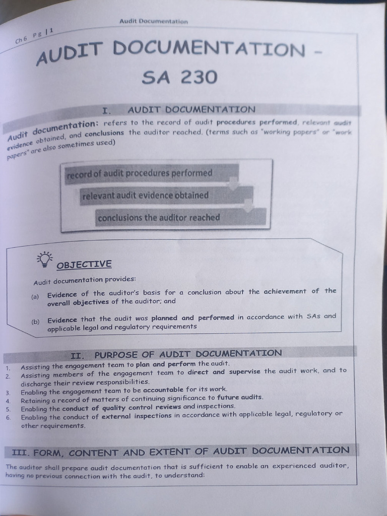 Audit Documentation Overview | PDF | Audit | Auditor's Report