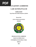 Download Manajemen Agribisnis Labu Kuning by Litna Nurjannah Ginting SN84451479 doc pdf