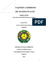Download Manajemen Agribisnis Labu Kuning by Litna Nurjannah Ginting SN84451479 doc pdf