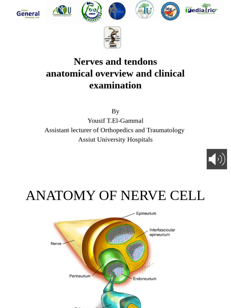 Nerve and Tendon Injury Overview | PDF | Hand | Anatomical Terms Of Motion