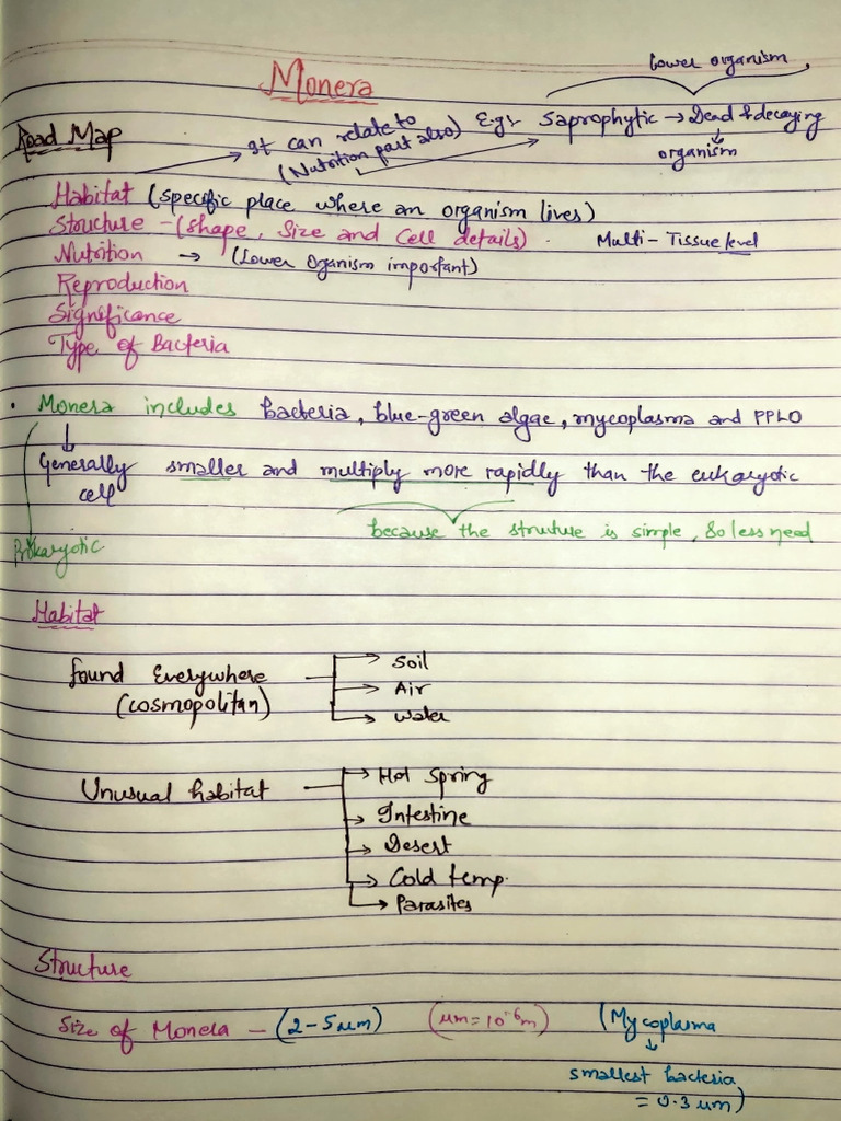 Biological Classification of Organisms | PDF | Biology