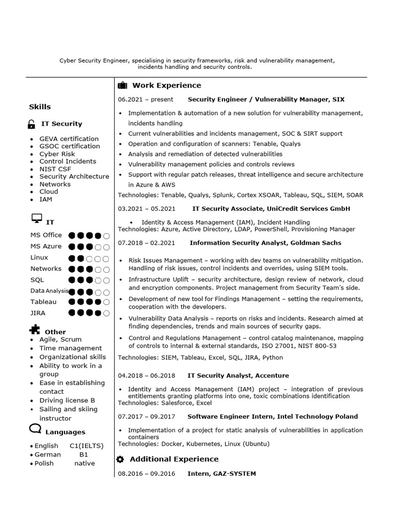 Cyber Security Analyst Profile | PDF | Computer Security | Security