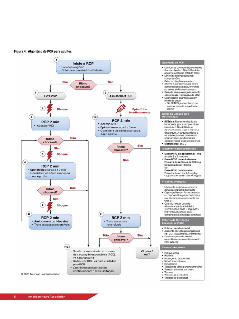 algoritmo-pcr-adulto-pdf