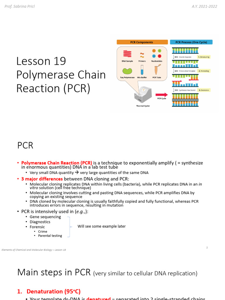 Lesson 19 - Polymerase Chain Reaction | PDF | Polymerase Chain Reaction ...