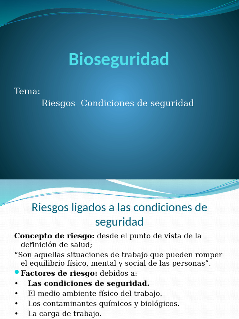 Condiciones de Seguridad | PDF | Valores