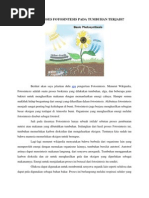 Download Bagaimana Proses Fotosintesis Pada Tumbuhan Terjadi by Dian Meutia Putri Arrachman SN84459095 doc pdf