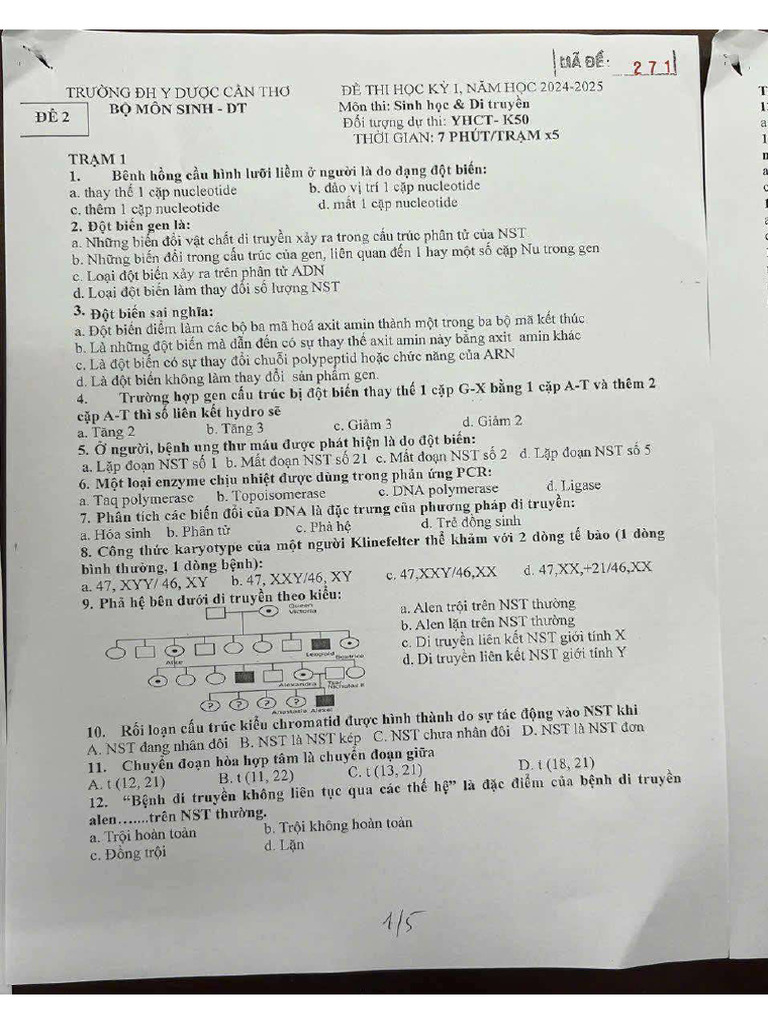 SHDT 5 | PDF