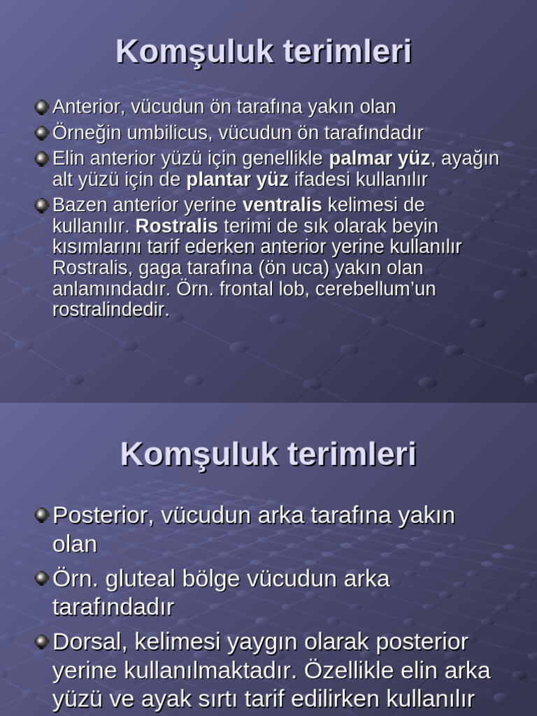 2 Terminoloji 4 | PDF