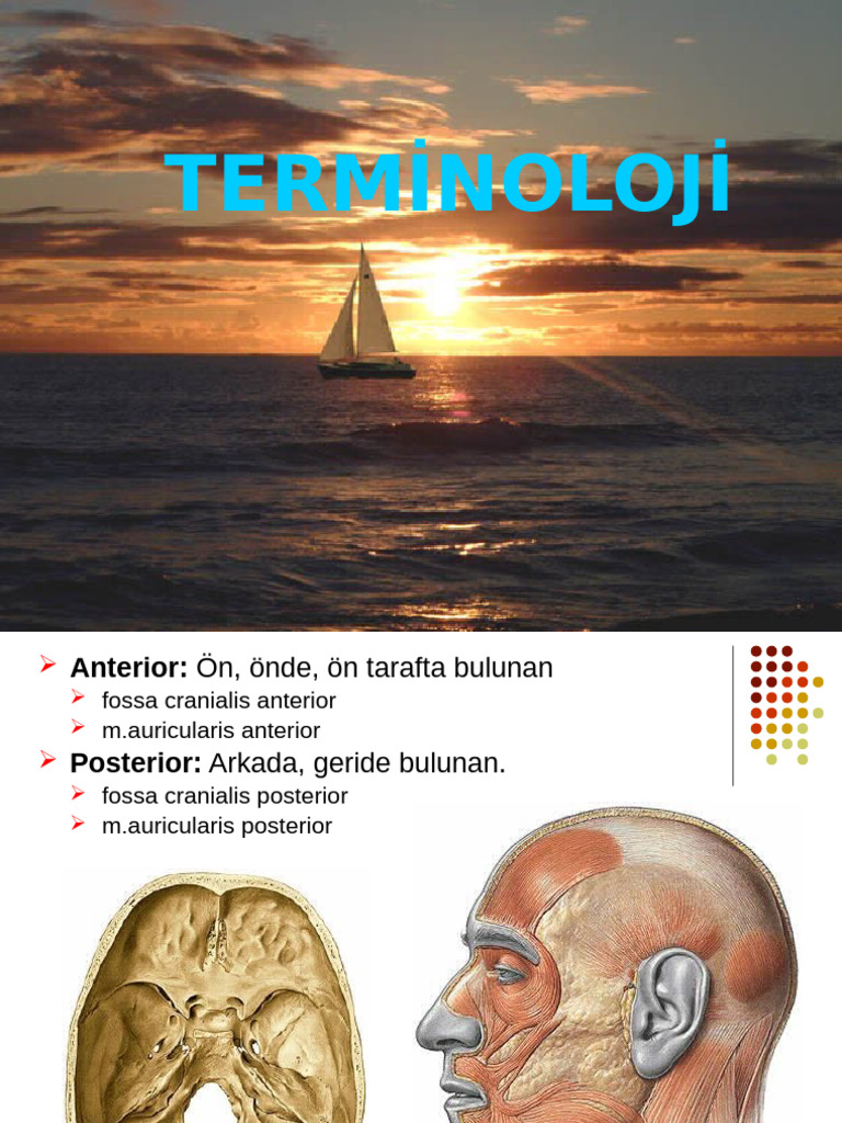 2 Termi̇noloji̇ 3 | PDF