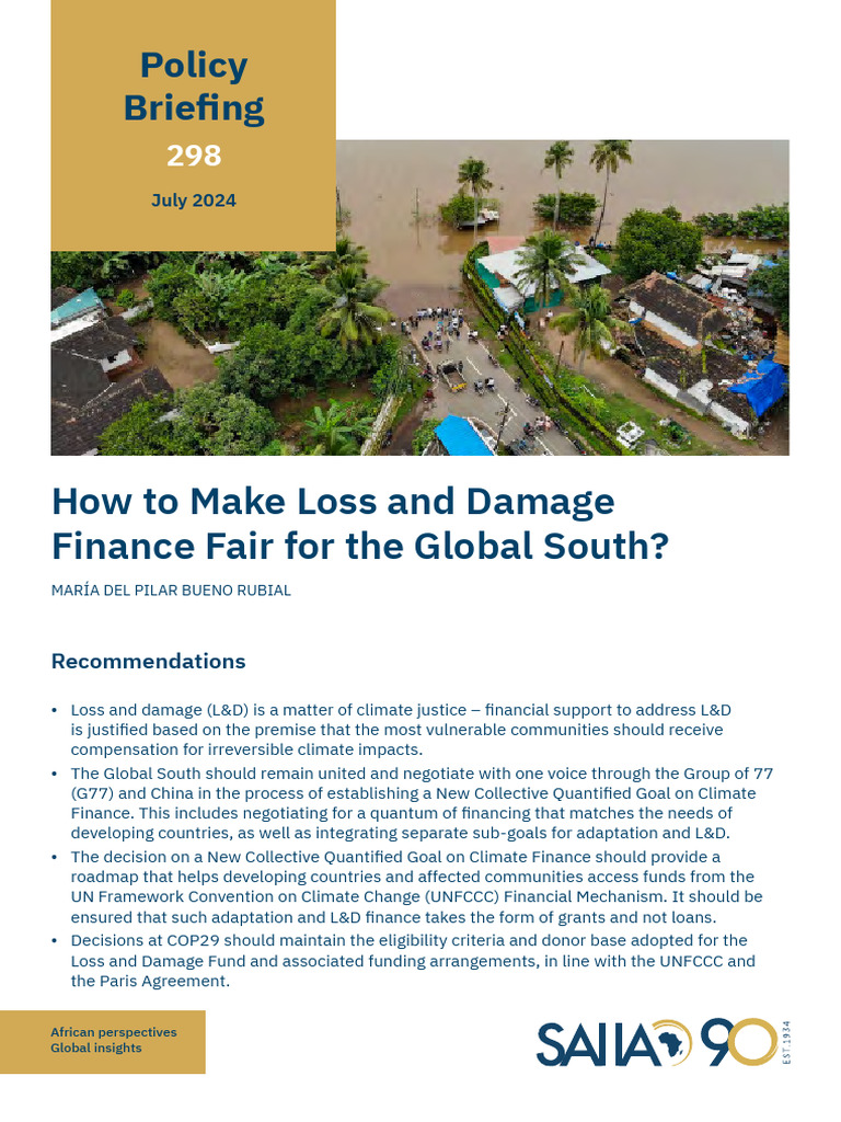 Fair Loss and Damage Finance for Global South | PDF | United Nations ...