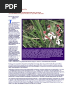 Download The Flower and the Fly by Vinith Kantamneni SN84463964 doc pdf