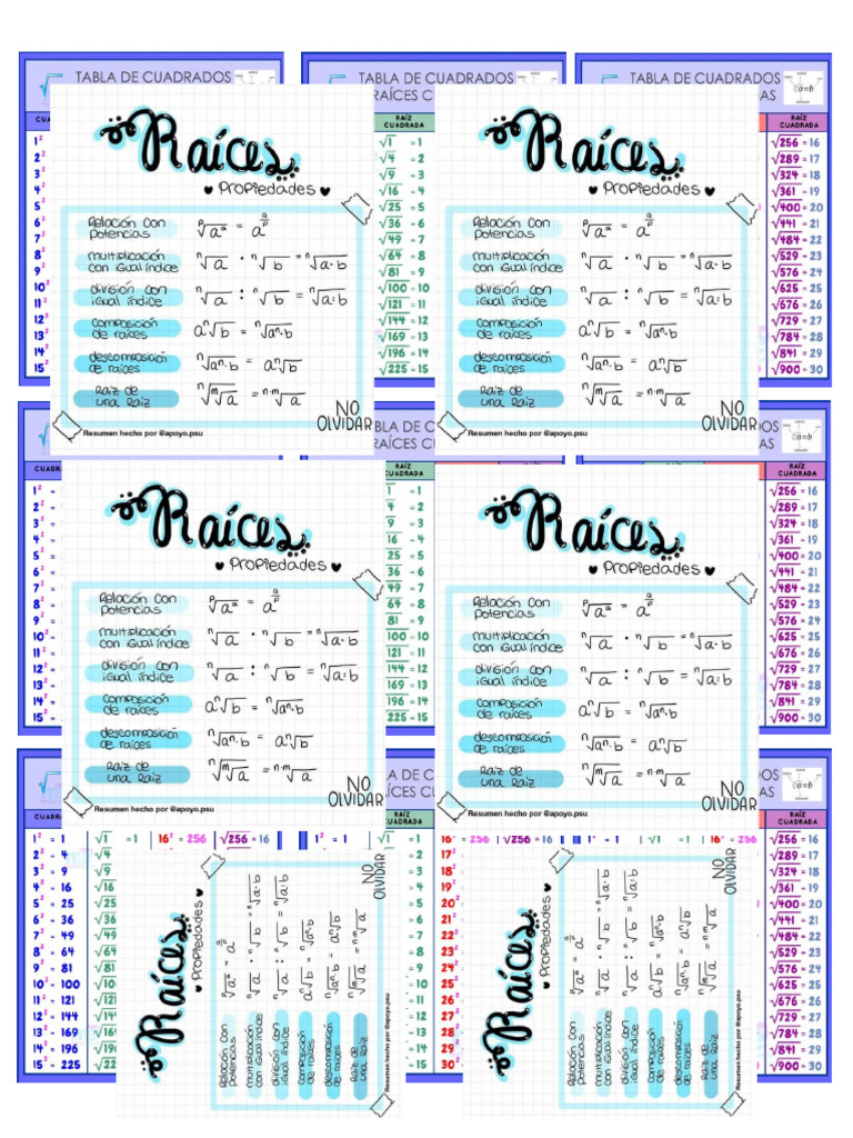 Raices | PDF