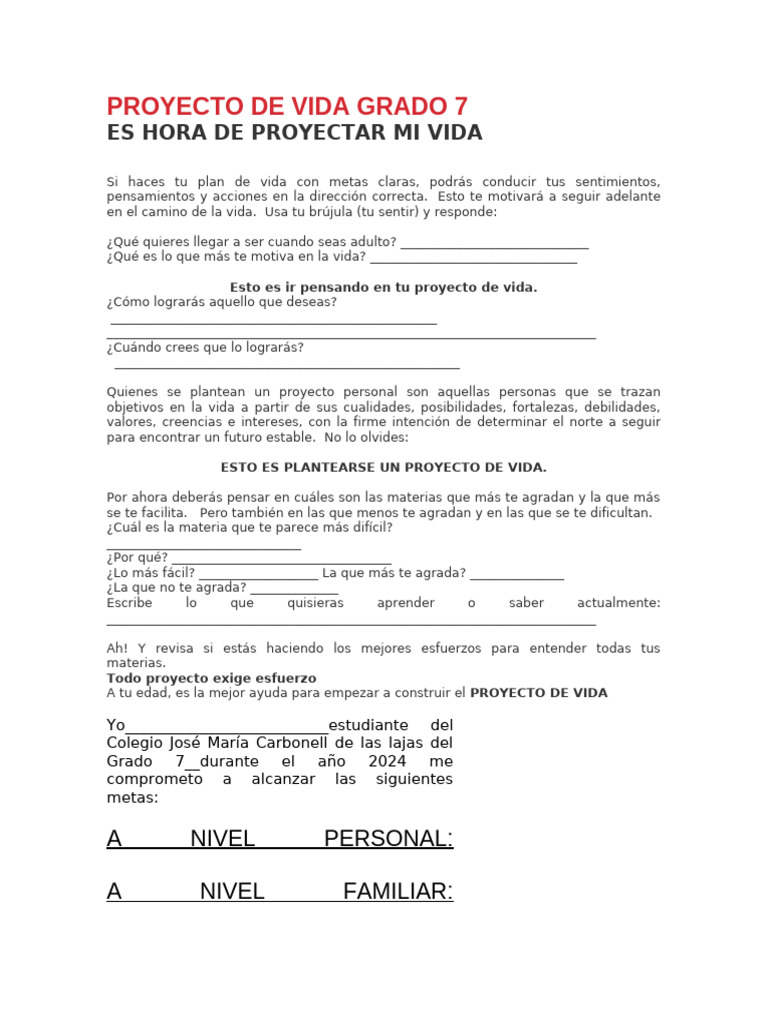 Proyecto de Vida Grado 7 | PDF