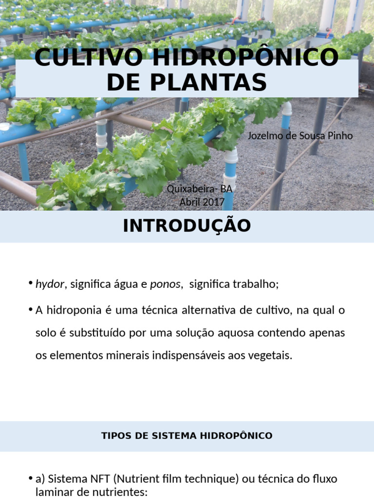 Cultivo Hidropônico: Vantagens e Sistemas | PDF | Hidroponia | Agricultura