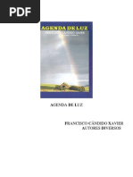 406 - AGENDA de LUZ - (Chico Xavier - Autores Diversos)_1