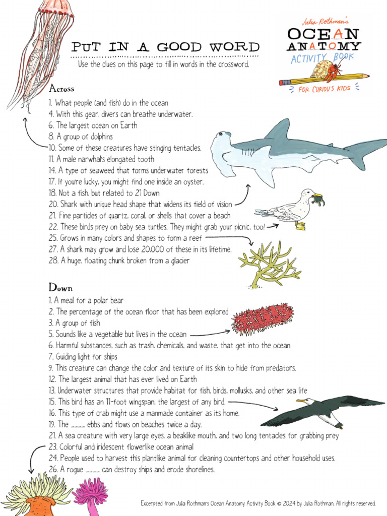 Storey Ocean-Anatomy Printable | PDF